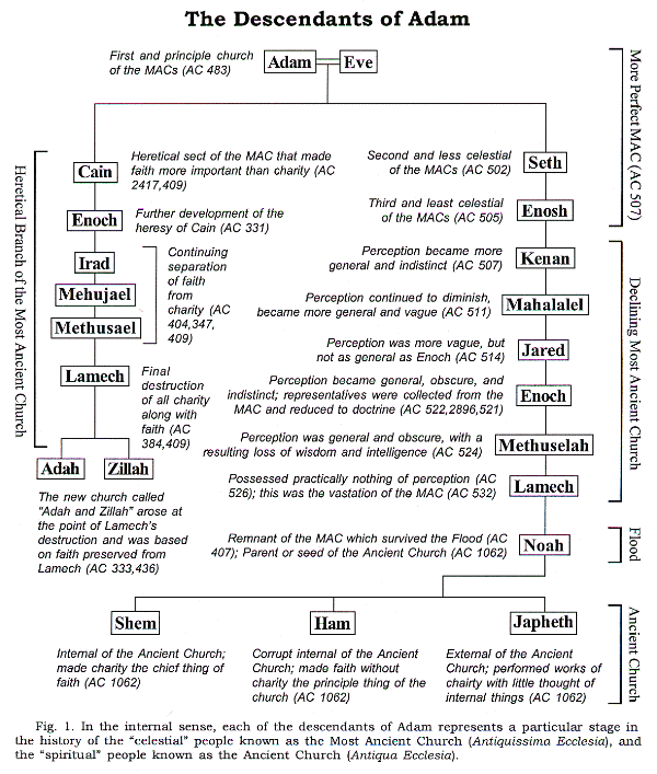  Figure 1. Descendants of Adam chart.