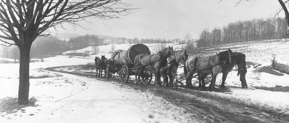 On the Quarry Road below the church hill, this log is perhaps being hauled to the site from the railroad spur at the end of the road. The horses at the other end provided a spare team for turns in pulling the heavy trunk.