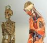 anatomyroom3.jpg